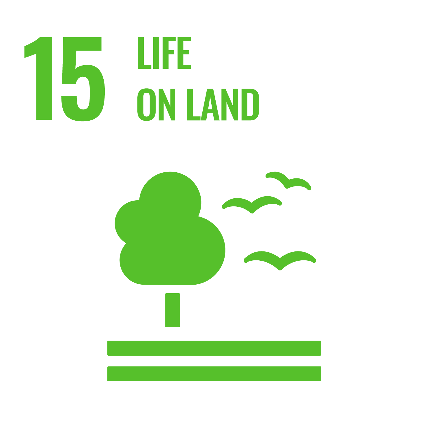 Goal 15: Life on land